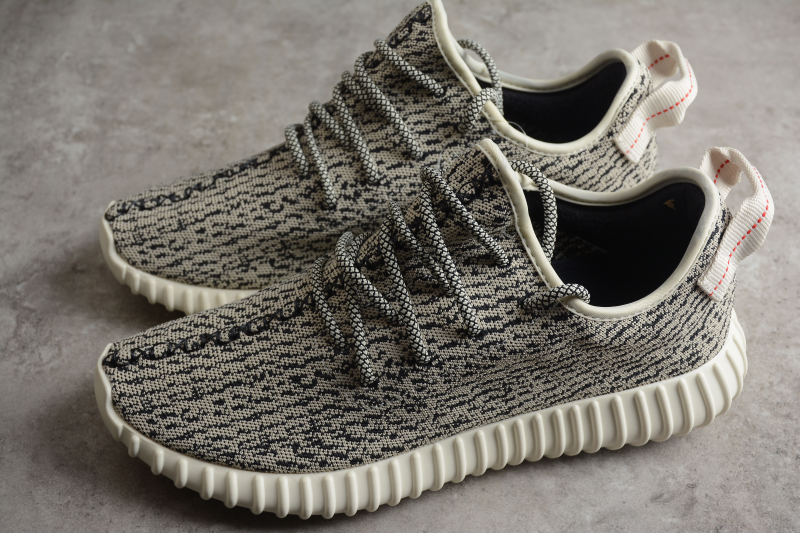 Adidas Yeezy 350 Turtle Dove - Imagen 6